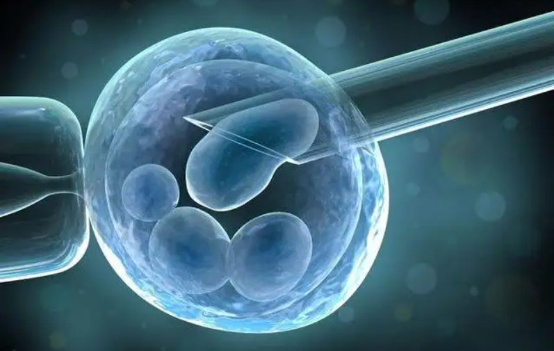 茂名43岁供卵试管助孕-移植后囊胚出生的时间，通常在同一天。